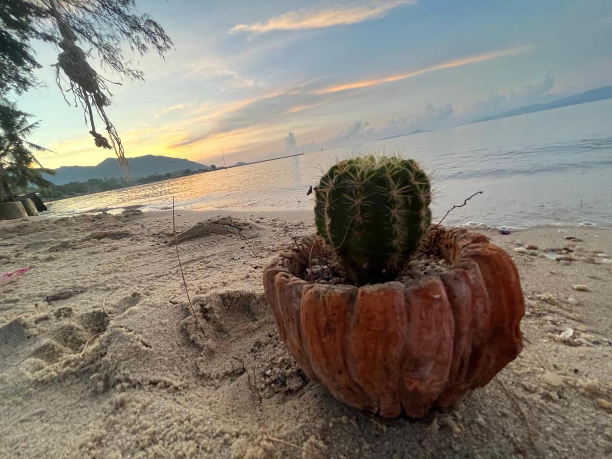 Phangan Dream Box Hotel บ้านใต้ ภายนอก รูปภาพ
