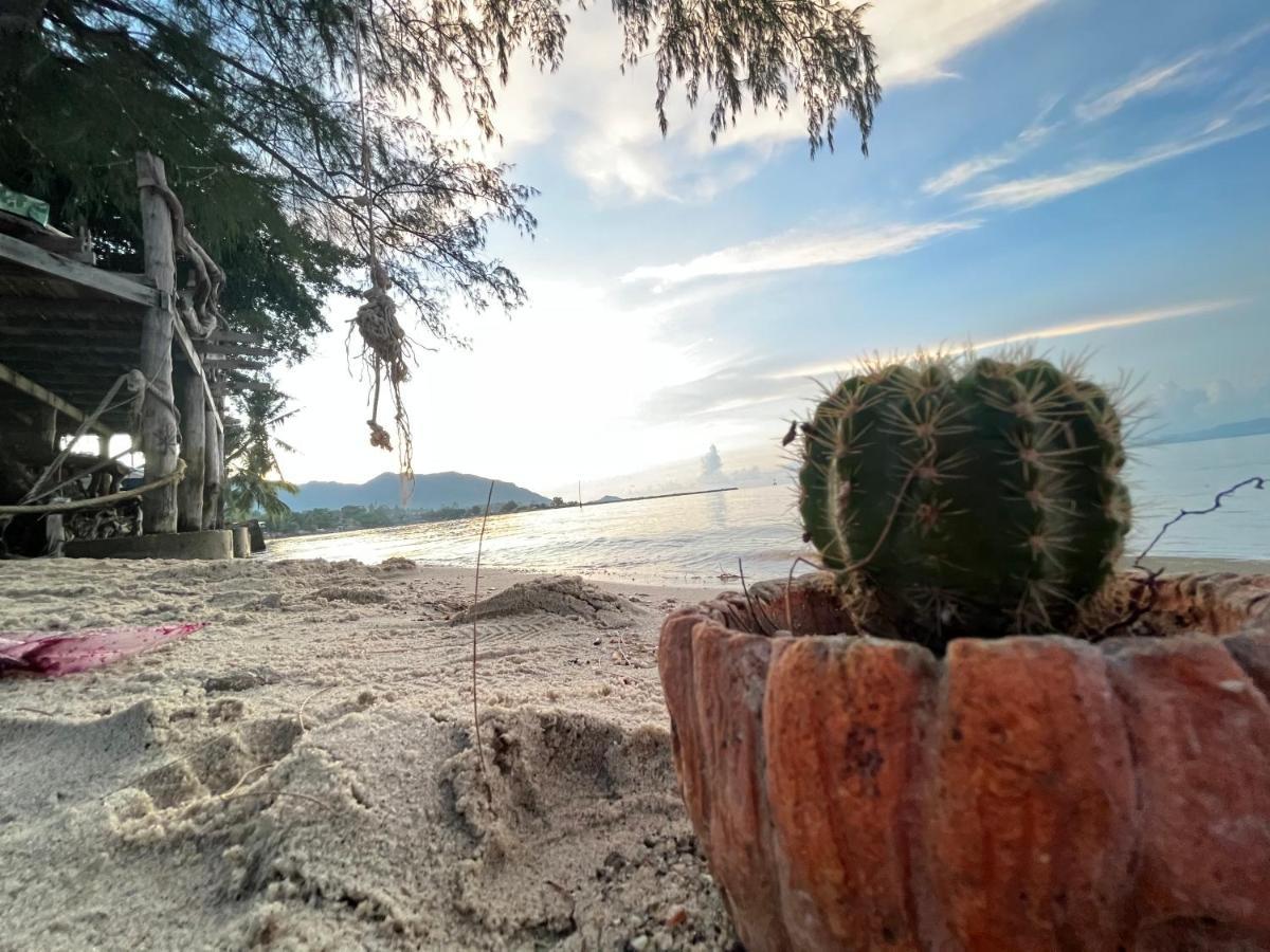 Phangan Dream Box Hotel บ้านใต้ ภายนอก รูปภาพ