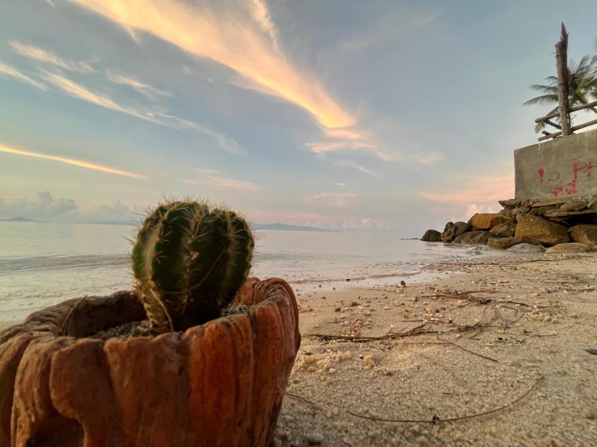 Phangan Dream Box Hotel บ้านใต้ ภายนอก รูปภาพ